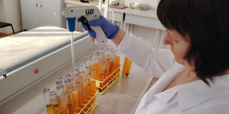 Ғалымдар құрғақшылыққа төзімді дақыл сорттарын патенттеді