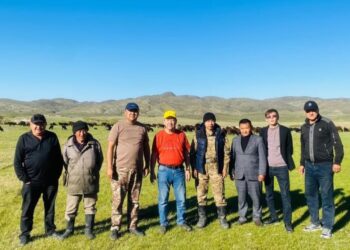 «Eurasia Agro Semey» ет комбинатының жанынан зәкірлік кооперация құрылады