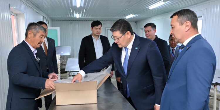 Берік Уәли Көкпекті ауданындағы балық өңдеу цехына қолдау көрсетілетінін айтты