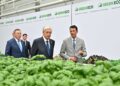 Мемлекет басшысы GREEN ЕСО жылыжай кешенінің жұмысымен танысты