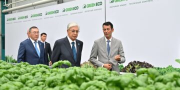 Мемлекет басшысы GREEN ЕСО жылыжай кешенінің жұмысымен танысты