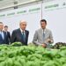 Мемлекет басшысы GREEN ЕСО жылыжай кешенінің жұмысымен танысты