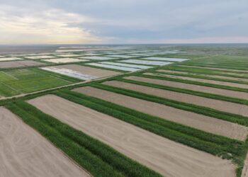 Сырда су үнемдеу технологиялары енгізіліп жатыр