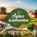 Абай облысында «Ауыл аманаты» бағдарламасы аясында 25 жоба қаржыландырылды