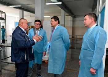 Берік Уәли: өңірдегі өндіріс орындарының қуатын арттыруға жан-жақты қолдау көрсетеміз
