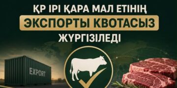 Енді ірі қара мал етін экспорттауға квотаның қажеті жоқ