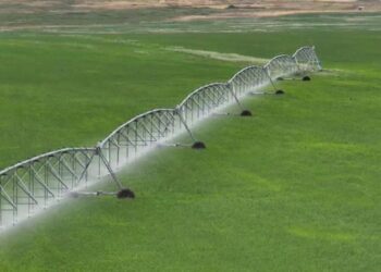 Елімізде Valley жаңбырлатып суару машиналары өндірілетін болды
