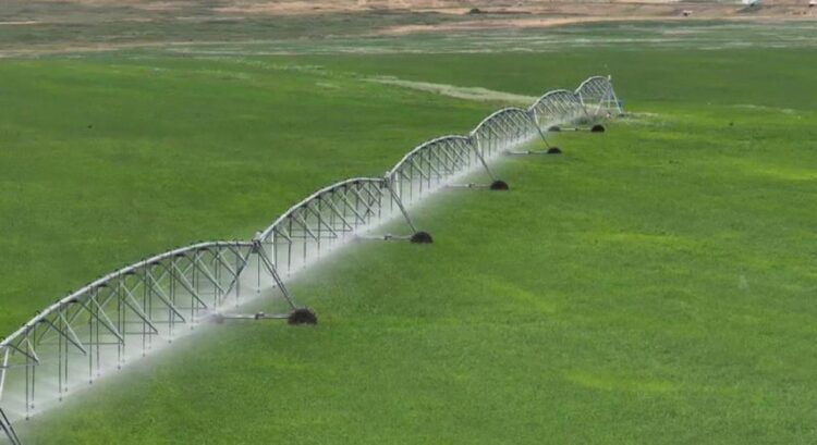 Елімізде Valley жаңбырлатып суару машиналары өндірілетін болды