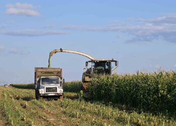 Абай облысында егін жинау науқаны жоспарға сәйкес жүріп жатыр