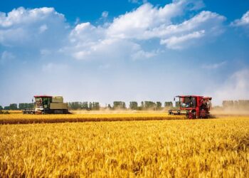 ҚХР Ауыл шаруашылығы министрлігі төрт бағытқа табан тіремек