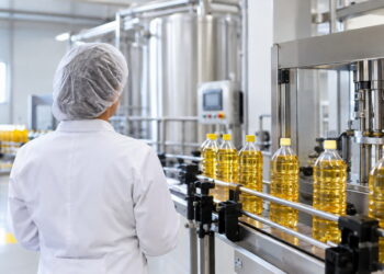Жетісу облысында өсімдік майын өндіретін жаңа кәсіпорын іске қосылды